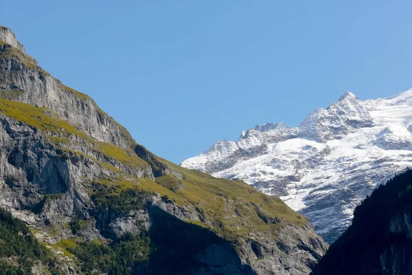 Alpen gezien vanaf Grindelwald — Stockfoto