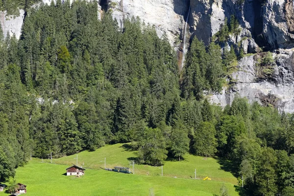Alpina landskap med skog och äng — Stockfoto
