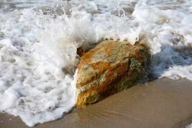 Sandy sahil deniz ve üzerine orada taş 