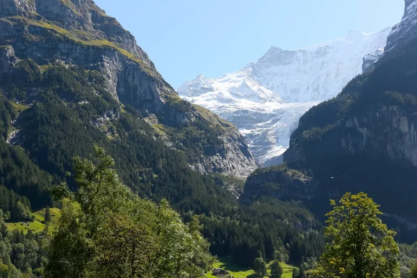 Bergen landschap gezien vanaf Grindelwald — Stockfoto