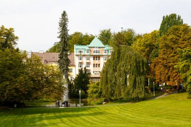 Park ağaç ve kiralık evler