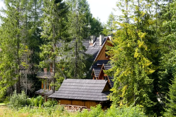 Behind the trees are visible roofs of large estate — Stock Photo, Image