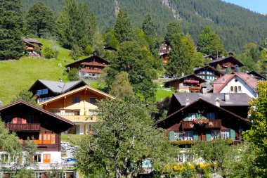 Alp evlerin geleneksel mimari