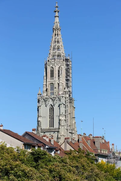La torre della Cattedrale di Berna — Foto Stock