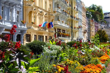 Çeşitli çiçekler ve renkli kiralık evler