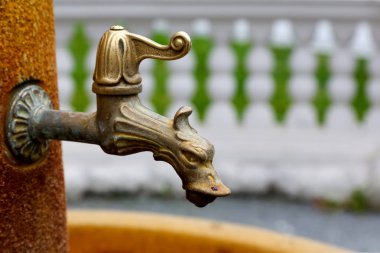 Marianske Lazne su musluk