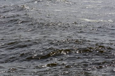 Baltık Denizi rüzgarlı hava sırasında hafif dalgalar