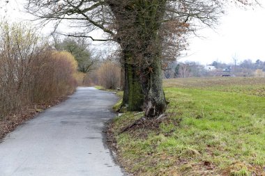 Bir snowless kış gününde kırsal manzara