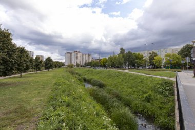 Goclaw malikanesinde akan sular boyunca bitkiler.