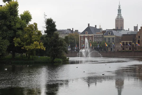 Behind the lake are the buildings of the old town — Stock Photo, Image