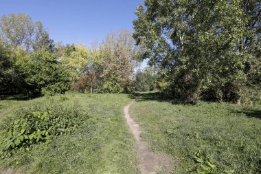 Goclaw arazisindeki parkta yabani bitkiler yetiştiriyor.