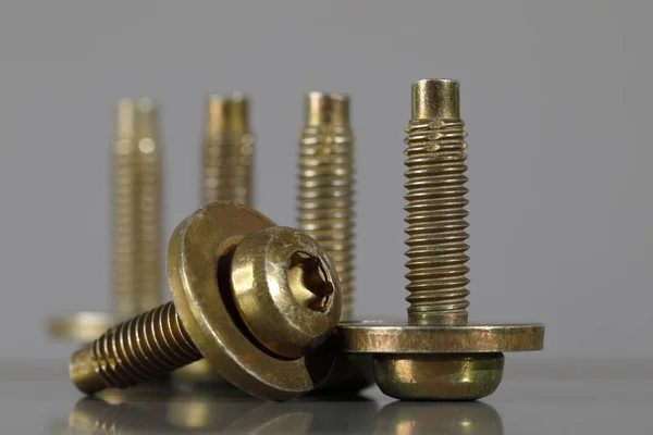 Specially designed screws already with washers — 스톡 사진