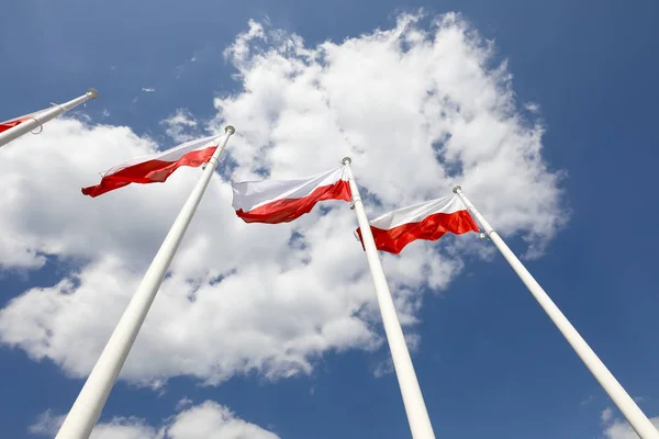 Są flagi Polski. — Zdjęcie stockowe