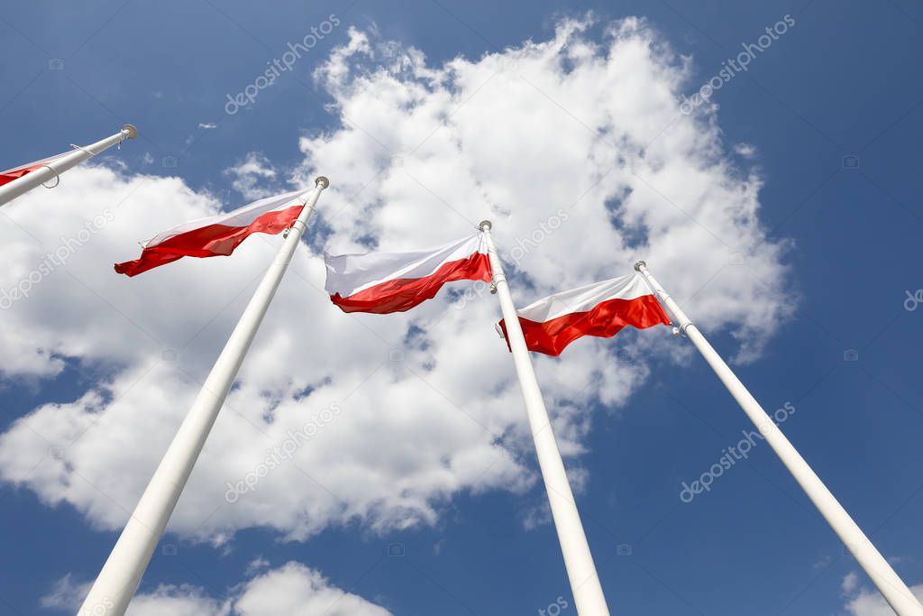 There are flags of Poland 