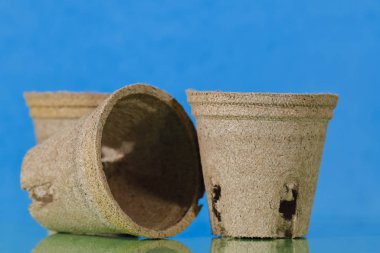 Biodegradable empty flower pots