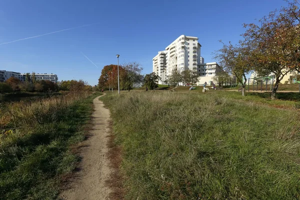 Varsovia Polonia Octubre 2019 Camino Conduce Través Las Áreas Del — Foto de Stock