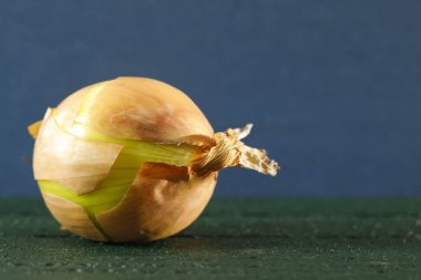 Bu koyu arkaplanda gösterilen tek bir soğan..