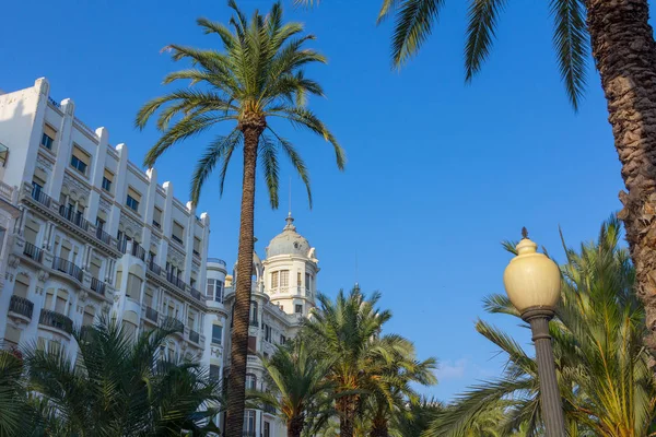 Domy i drzewa palmowe miasta Alicante, Hiszpania — Zdjęcie stockowe
