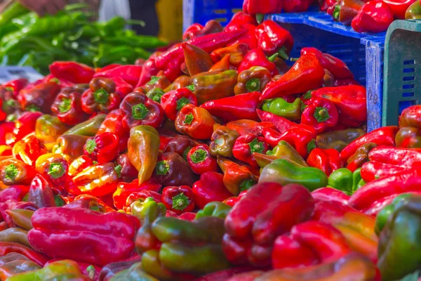 Reiche rote Paprika in der Sonne — Stockfoto