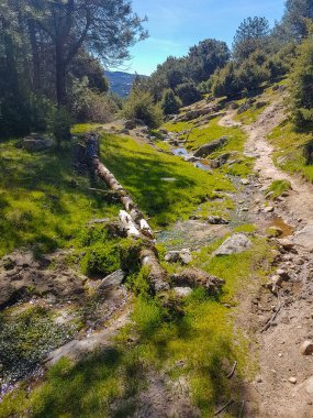 Bir dağ yoluyla küçük patika