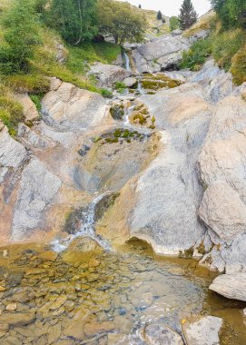 Küçük brook Pyrenees bağlar