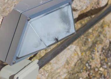 Zamora, İspanya'nın tarihi ve antik kale