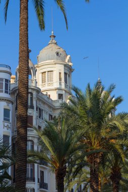 Evler ve palmiye ağaçları şehrin Alicante, İspanya