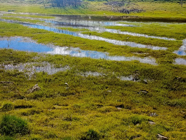 Lago de água em um prado — Fotografia de Stock