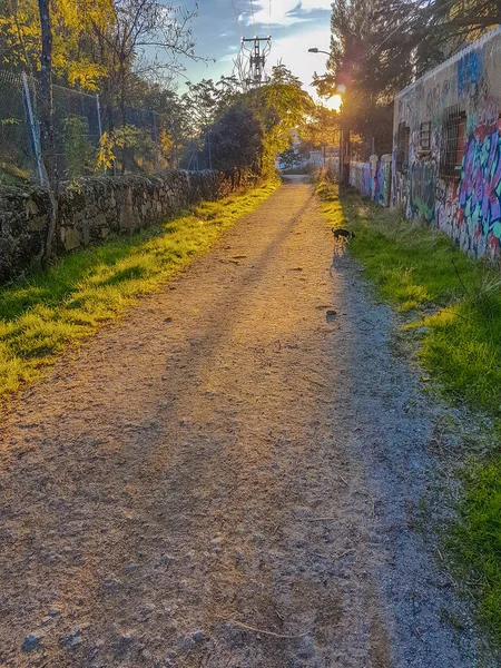 Camino de tierra al atardecer — Foto de Stock