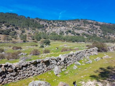 Taş duvar kırsal kesimde bir çiftlikte