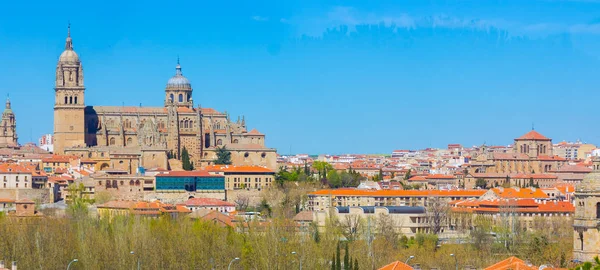 Salamanca, İspanya'nın kentin genel görünümü — Stok fotoğraf
