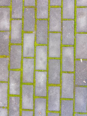 bir kaldırım taşı döşeli arka plan