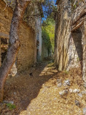 Terk edilmiş köy Pyrenees, Janovas, İspanya