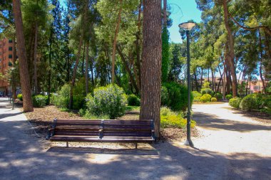 Ağaçlarla dolu bir parkta yol