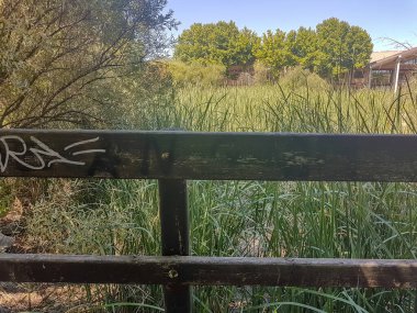 Tarlada eski ağaçlara gidin.