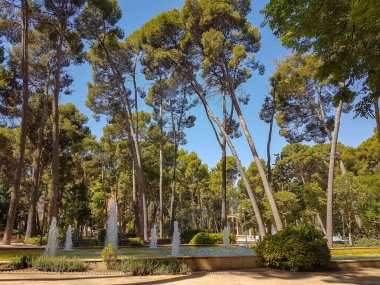 Ağaçlarla dolu bir parkta yol