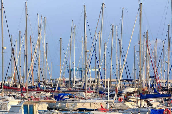 Alicante Spain 2019 Много Парусных Лодок Мачта Вместе Гавани — стоковое фото