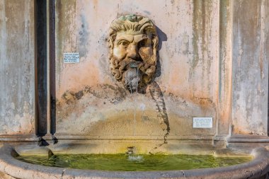 Vatican Museums Fontana della Pigna veya süper Çeşmede
