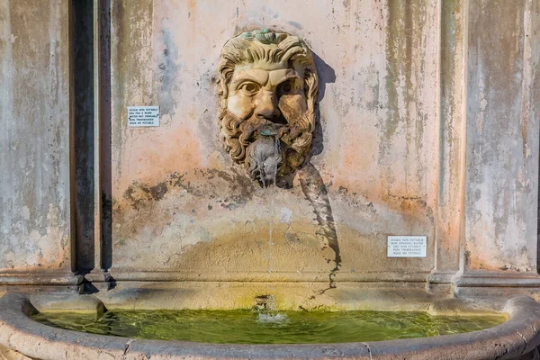 Fontana della Pigna or Pinecone fountain at the Vatican Museums — Stock Photo, Image