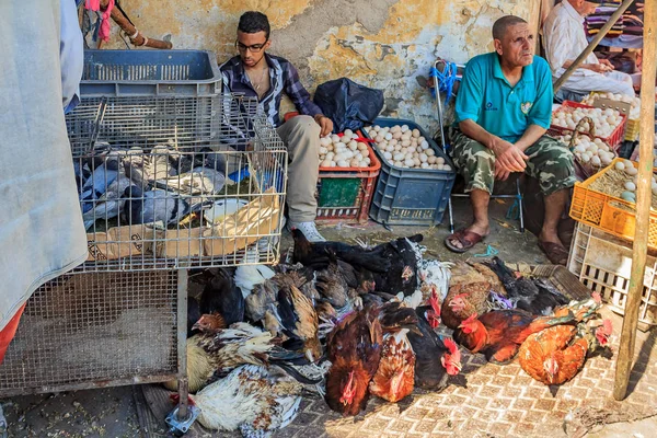 Vendors selling live chicken, pigeons and eggs at a Moroccan mar — Stock Photo, Image