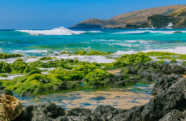 Tropiska lagunen och tidvattnet pooler på en strand i Oahu, Hawaii — Stockfoto