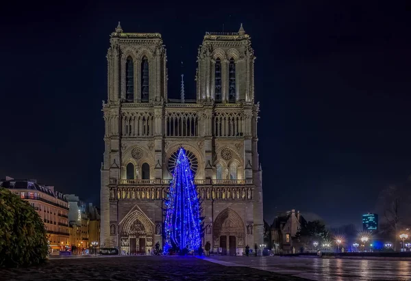 Illuminated blue Christmas tree at Notre Dame de Paris in Paris — Stock Photo, Image