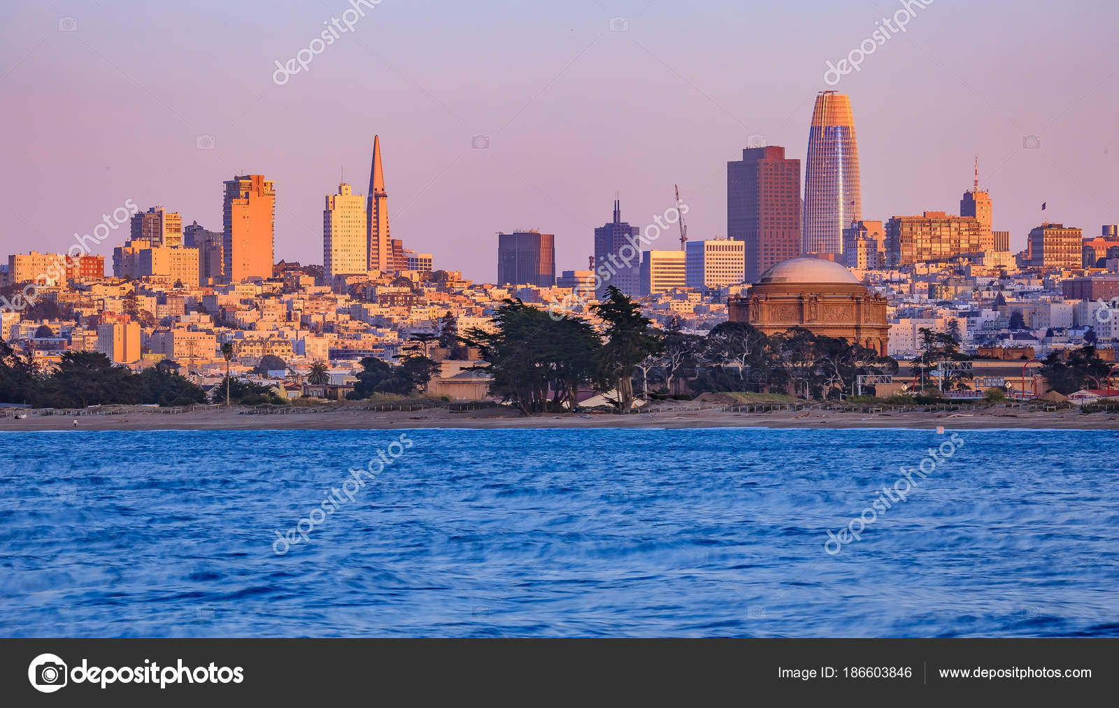 サンフランシスコのパノラマ パレス オブ ファイン アーツと Salesforce タワーとダウンタウン バック グラウンドで ストックエディトリアル用写真 C Svetlanasf