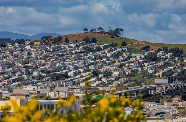 Panorama dello skyline di San Francisco con fiori in fiore in primo piano — Foto Stock