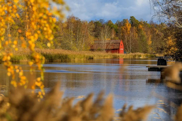 Hösten landskap med ljusa gula träden speglar sig i en blå lak — Stockfoto