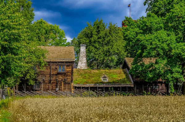 Tradiční staré domy a pole pšenice v Skansen Stockholm Sw — Stock fotografie