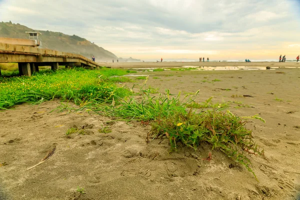 Pudim na praia em uma tarde nebulosa em Stinson Beach Calif — Fotografia de Stock