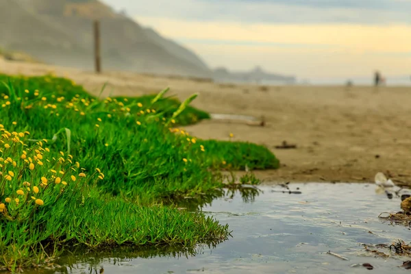 Pozzanghere sulla spiaggia in un pomeriggio nebbioso a Stinson Beach Calif — Foto Stock