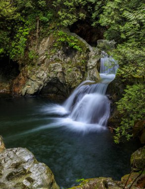Kuzey Vancouver, British Columbia 'daki Lynn Canyon Parkı' nda ikonik ikiz şelalenin uzun pozu