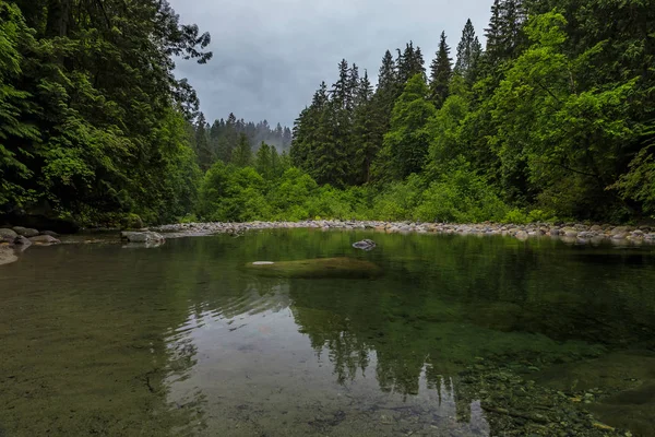在加拿大温哥华林肯恩公园森林的多云天气里，松树在清澈的湖水中反射出来 — 图库照片